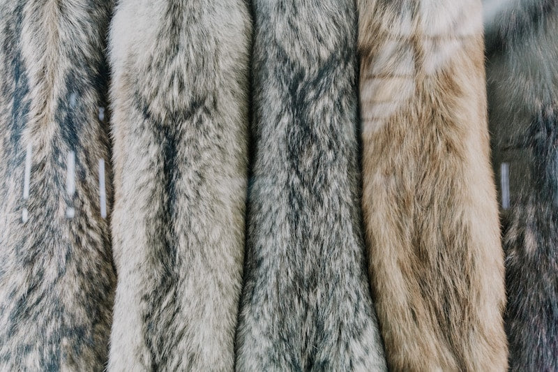 Discover the Rich Diversity of Fur Bearers in Our Jewelry Collection